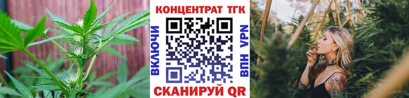 как найти закладки  KRAKEN ТОР  ТГК вейп с тгк  Тулун 
